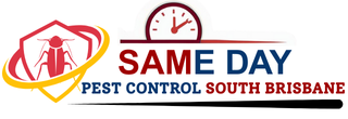 Same Daye Pest Control South Brisbane